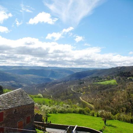 Villa L 'Oustal De Sophie En Aveyron, A Montjaux Extérieur photo